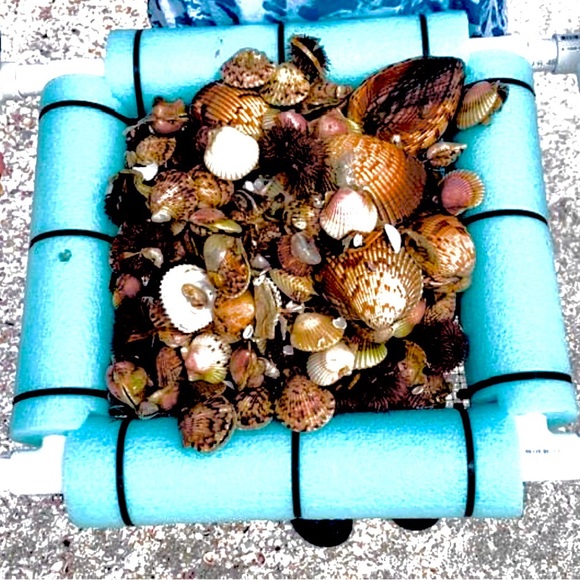 Sand Sifter for Shells and Rocks - Picture 8 of 8